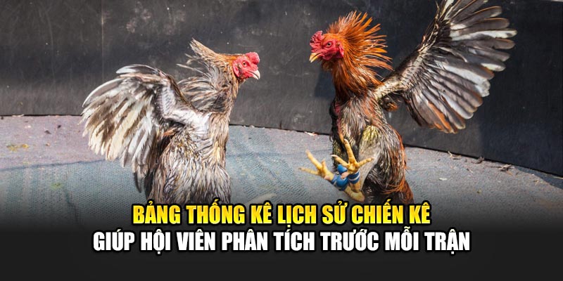 Trải Nghiệm Đá Gà Online Đỉnh Cao Cùng Nhà Cái 188Bet 3 Bảng thống kê lịch sử chiến kê giúp hội viên phân tích trước mỗi trận
