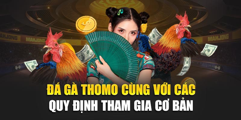Đá Gà Thomo 188BET – Đấu Trường Rực Lửa, Cược Hấp Dẫn 2 Đá gà thomo 188BET cùng với các quy định tham gia cơ bản