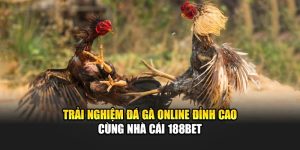 Trải Nghiệm Đá Gà Online Đỉnh Cao Cùng Nhà Cái 188Bet