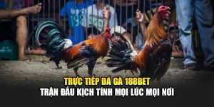 Trực Tiếp Đá Gà 188BET - Trận Đấu Kịch Tính Mọi Lúc Mọi Nơi
